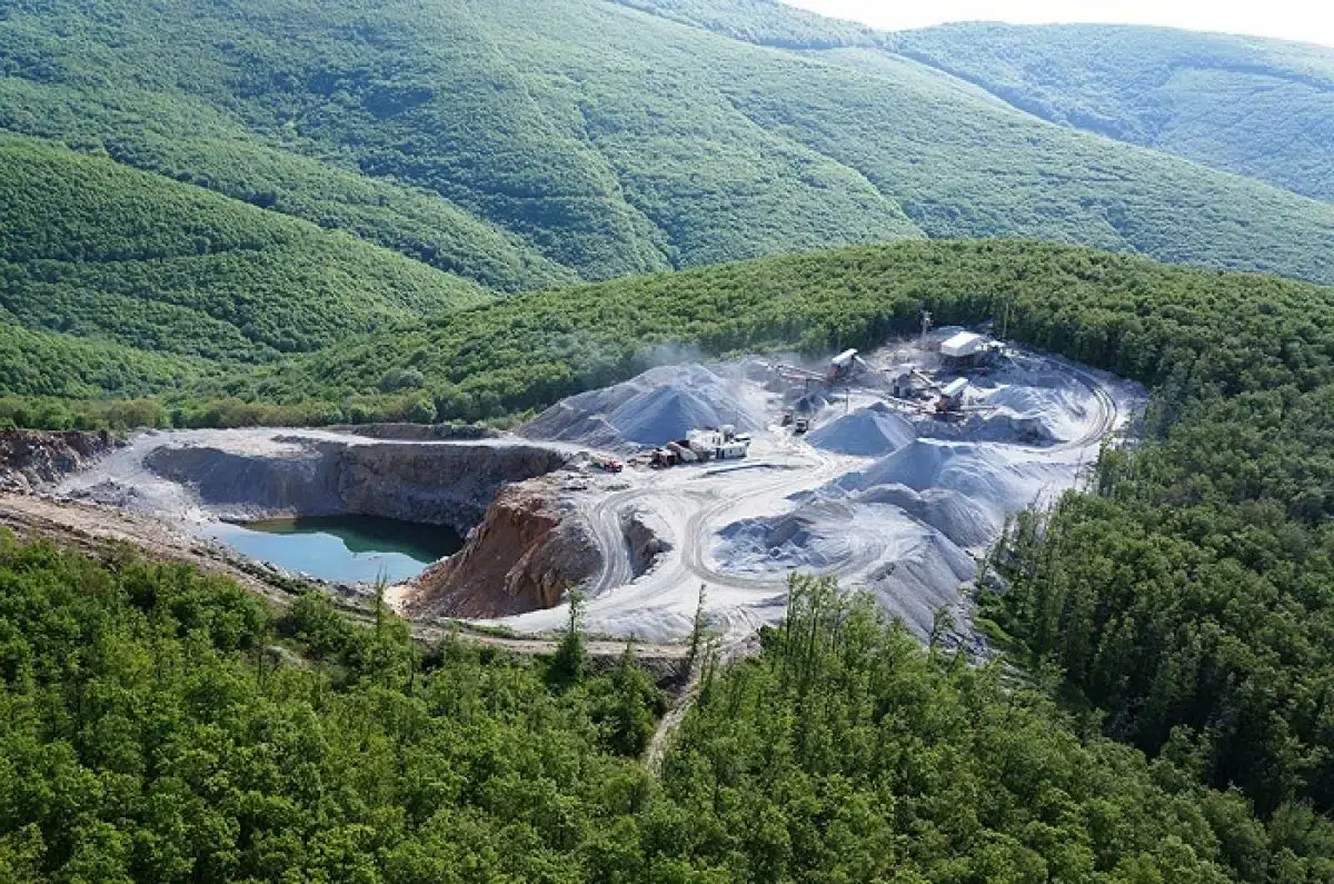 Ormanların Kullanıma Açılması Yangınlara Göre Daha Büyük Bir Alanı Yok Ediyor!