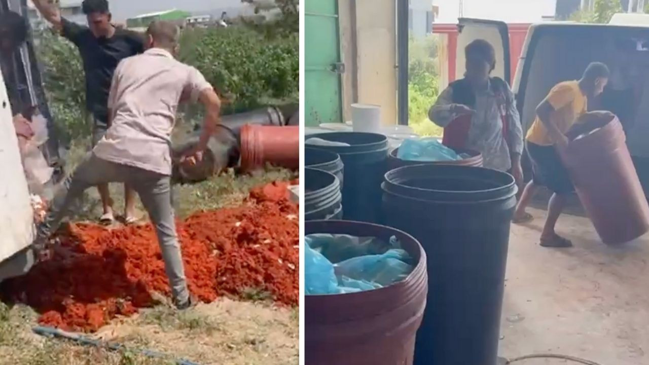 Hatay’daki gıda denetiminde skandal ortaya çıktı! Tonlarca sahte salça imha edildi