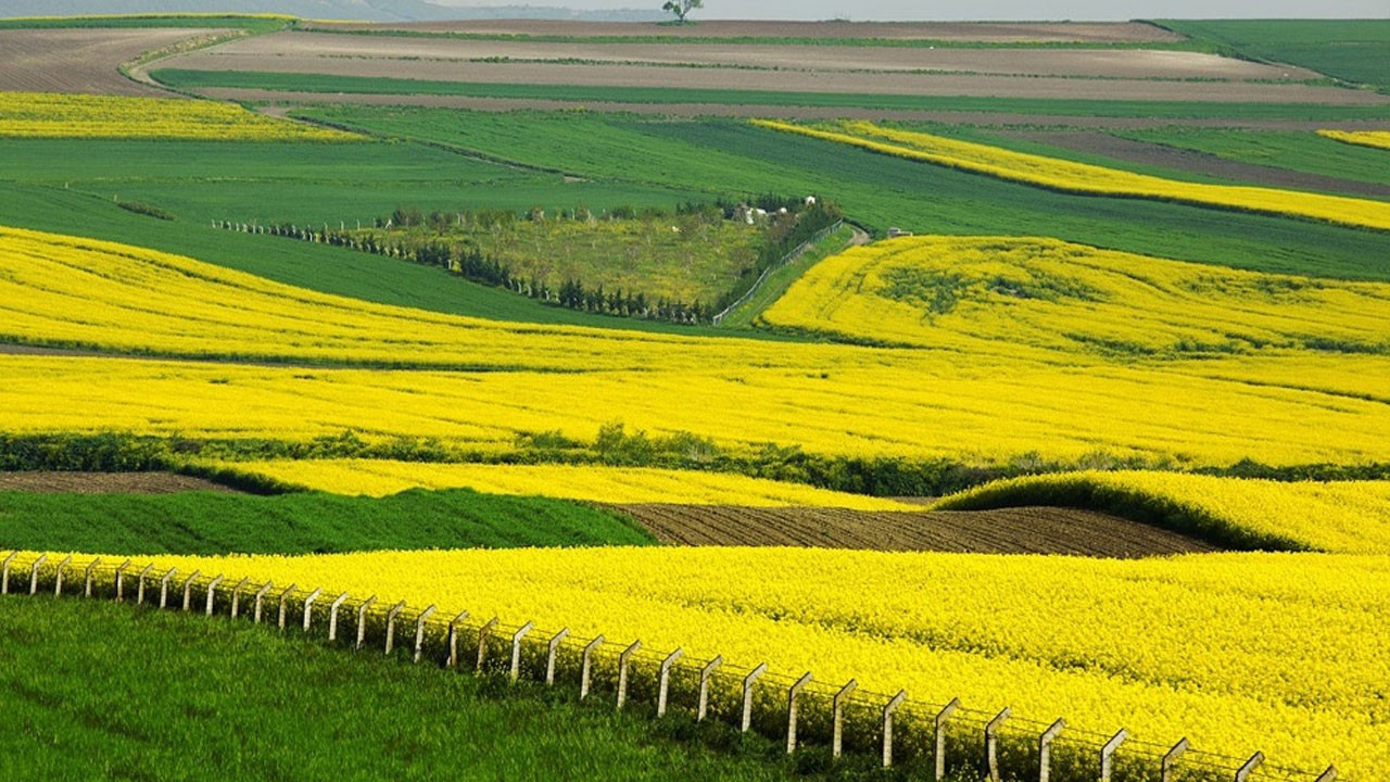 Trakya, Hollanda’ya rakip olabilir mi?